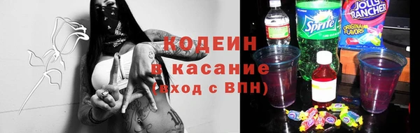 стафф Бородино
