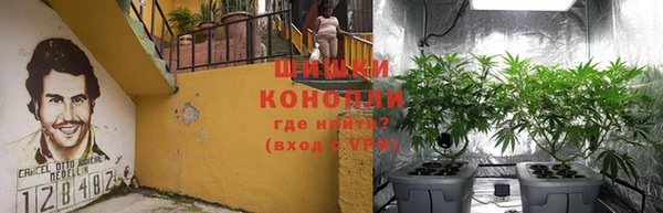 стафф Бородино
