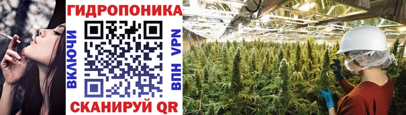 Шишки марихуана AK-47 blacksprut ссылка Нюрба продажа наркотиков